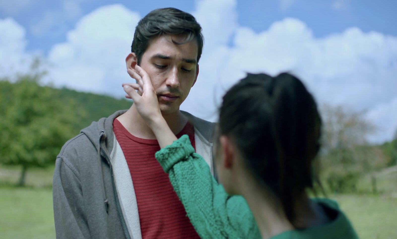 THE WILD REGION (The Untamed) by Amat Escalante: Pleasure and Destruction