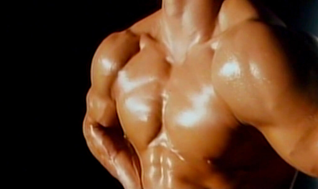MUSCLE: Hisayasu Satô’s rare, sulphurous film