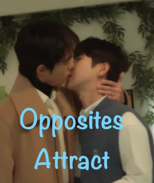 Opposites Attract (Korean Mini-Series)